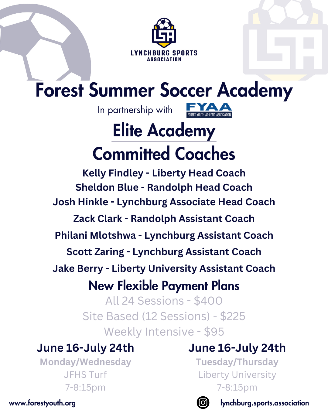 Summer Academy Flyer Summer Academy Flyer